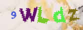 fdCAPTCHA Code